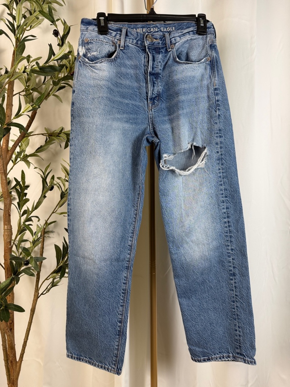 American Eagle Outfitters 90s Boyfriend Light Blue Distressed Jeans Sz 6 (B4)